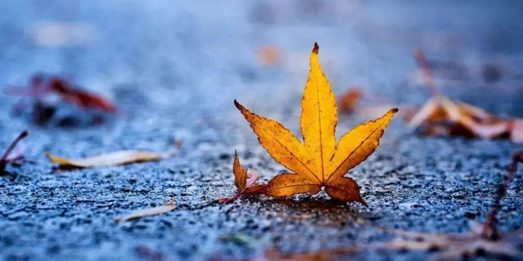 A lonely traveler wrapped in a robe walking down a wind-swept mountain trail in autumn