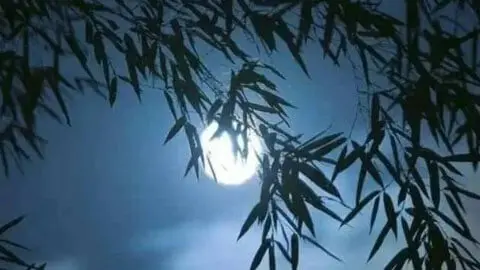 The Bright Moon: A Cosmic Mirror for Homesickness